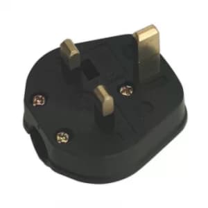Image of Plug 13AMP