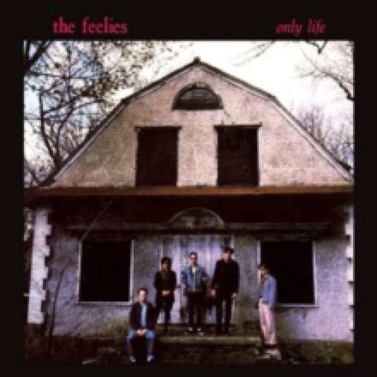 Image of Only Life Vinyl