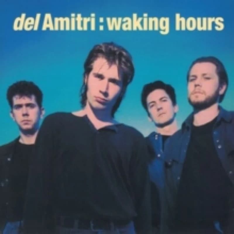 Image of Waking Hours Vinyl
