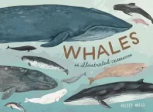 Image of whales an illustrated celebration