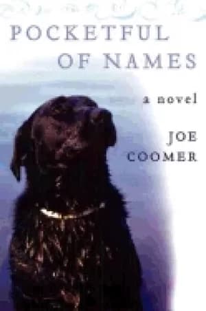 Image of pocketful of names