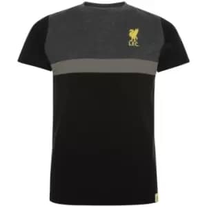 Image of Liverpool FC Childrens/Kids Panel T-Shirt (5-6 Years) (Black/Charcoal/Gold)