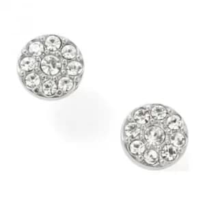 Image of Fashion Earrings