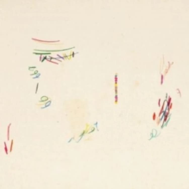 Image of Glass band Vinyl
