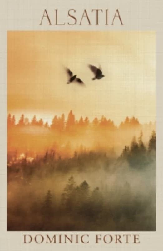 Image of Alsatia Paperback / softback