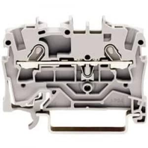 Image of Continuity 4.20 mm Pull spring Configuration L Grey