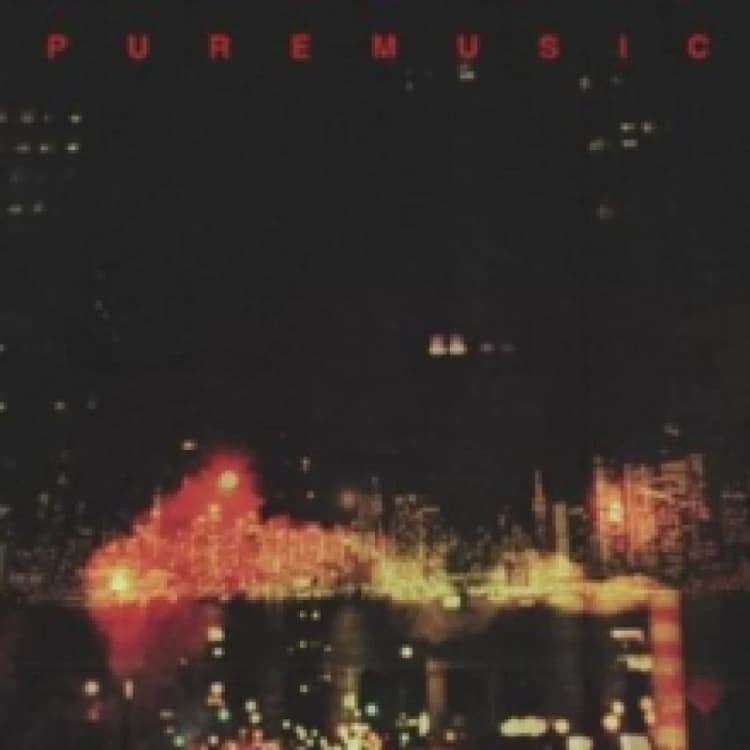 Image of Pure music Vinyl