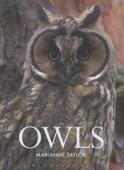 Image of Owls by Marianne Taylor Hardback