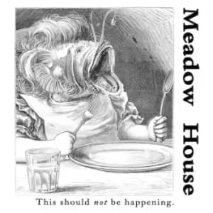 Image of This Should Not Be Happening by Meadow House Vinyl Album