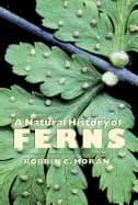 Image of natural history of ferns a natural history of ferns