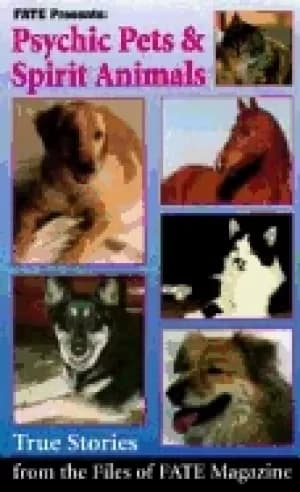 Image of psychic pets and spirit animals