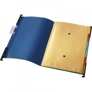 Image of Leitz Suspension file organiser Alpha Divide It UP A4 Blue 18900035