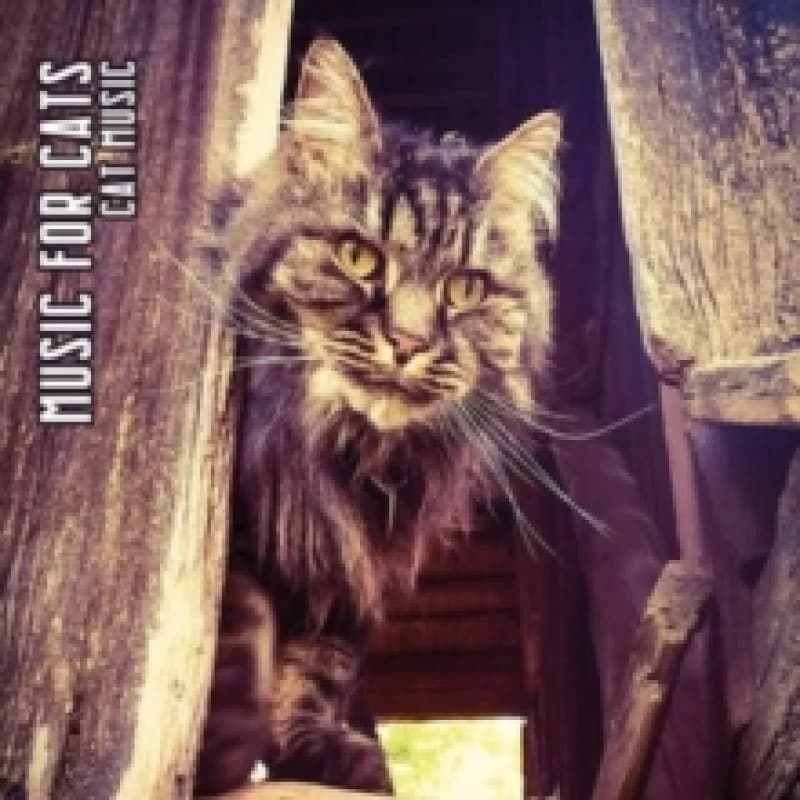 Image of Cat music CD / Album Digipak