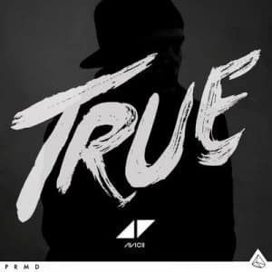 Image of TRUE by Avicii CD Album