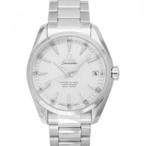 Image of Seamaster Aqua Terra 150M Master Co-Axial 38.5mm Automatic Silver Dial Steel Mens Watch