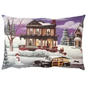 Image of A50838 Multicolor Cushion