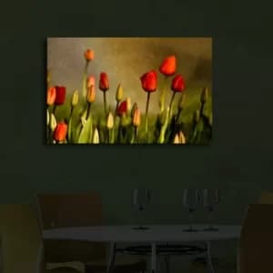 Image of 4570?ACT-28 Multicolor Decorative LED Lighted Canvas Painting