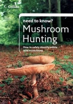 Image of Mushroom Hunting by Patrick Harding Paperback
