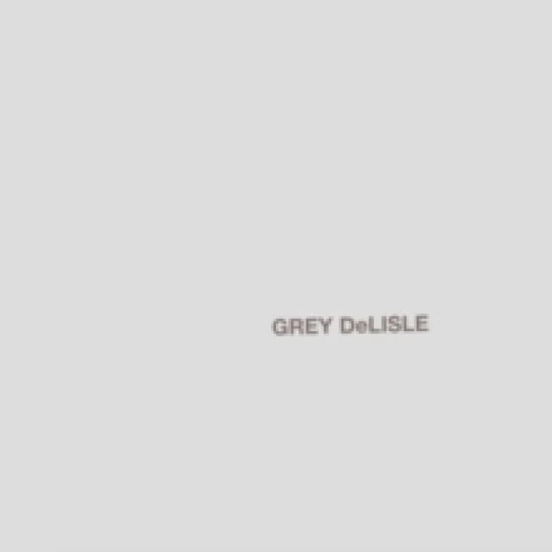 Image of The grey album CD / Album