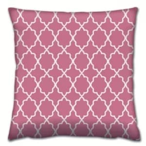 Image of A14221 Multicolor Cushion
