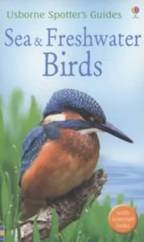 Image of Sea & freshwater birds by Joe Blossom