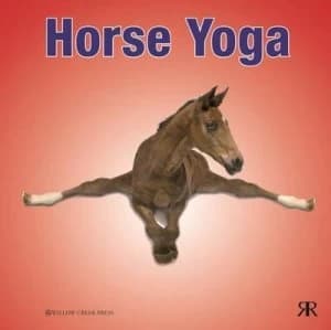 Image of Horse yoga by