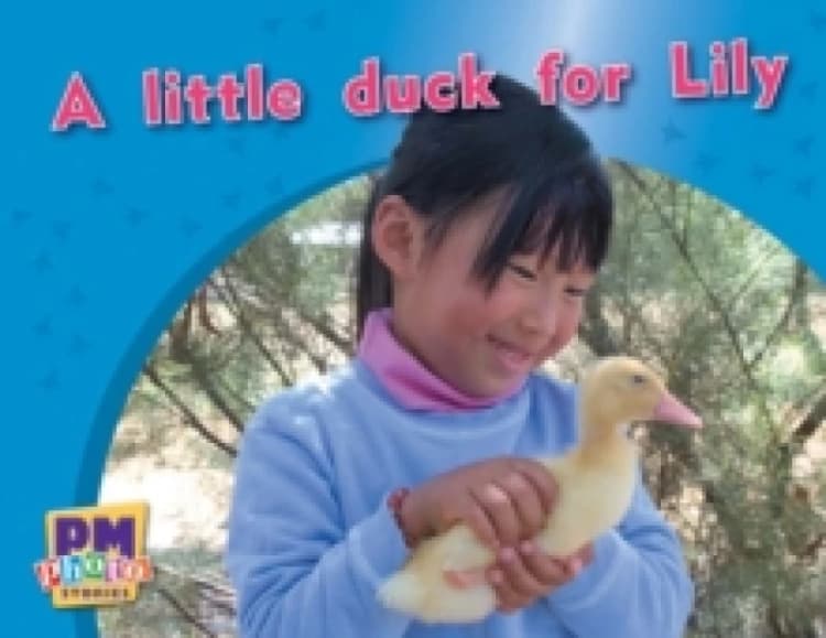 Image of Annette Smith A little duck for Lily Book Multi unisex