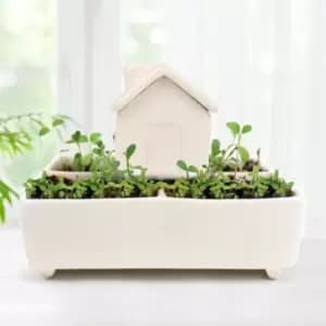 Image of Self Watering Herb House Grow Kit