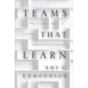 Image of Teaming : How Organizations Learn, Innovate, and Compete in the Knowledge Economy