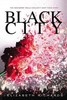 Image of Black City by Elizabeth Richards Book
