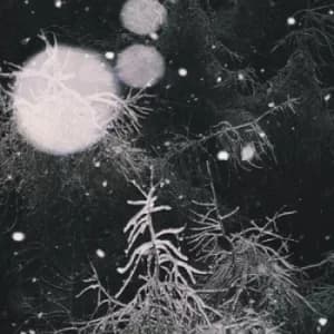 Image of Over the Voids by Over the Voids... Vinyl Album
