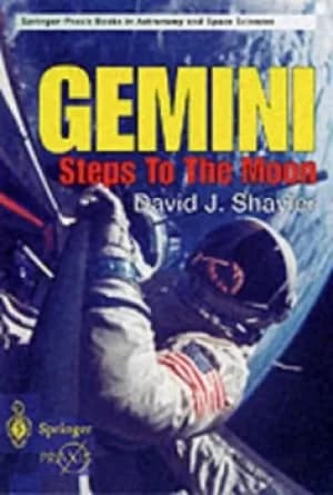 Image of Gemini by Shayler David