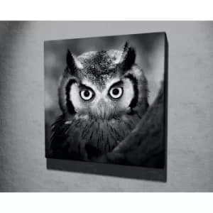 Image of KC034 Multicolor Decorative Canvas Painting