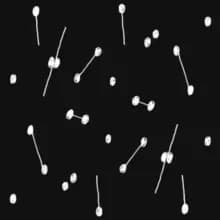 Image of Dance of a Trillion Stars