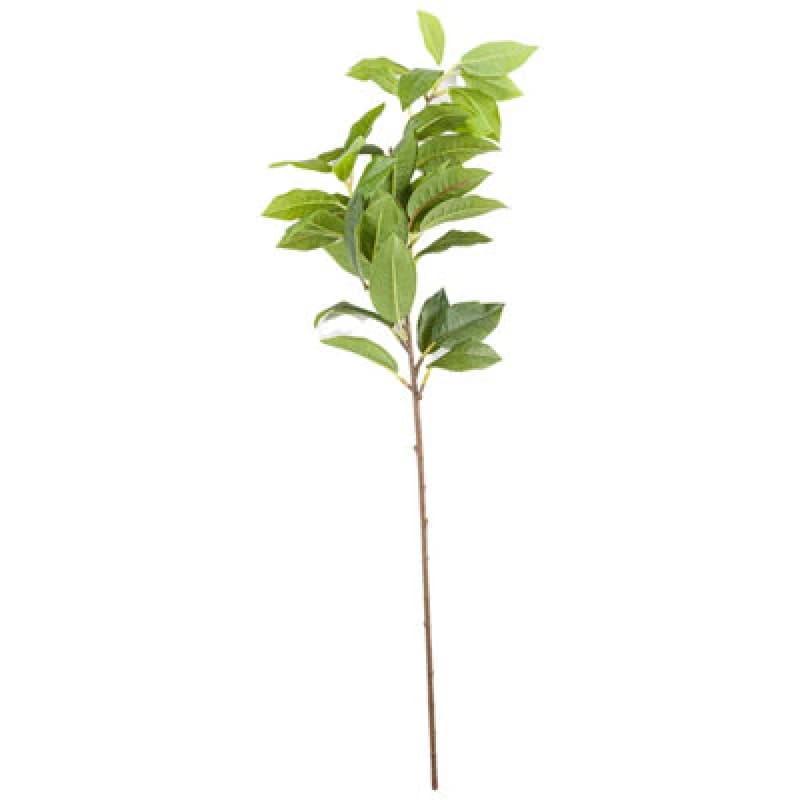 Image of Laurel Leaf Spray