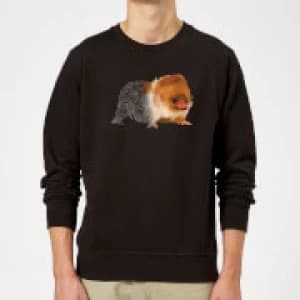 Image of Fantastic Beasts Tribal Baby Niffler Sweatshirt - Black
