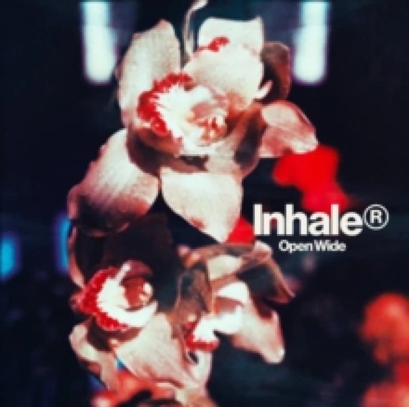 Image of Open Wide CD / Album