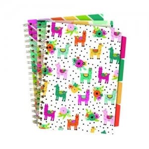 Image of Pukka Colour Wash Project Books B5 Assorted Pack of 3 9032-CD
