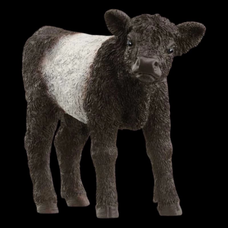 Image of Schleich Galloway Calf Multi unisex
