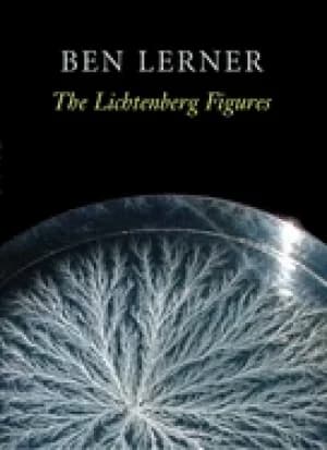 Image of lichtenberg figures