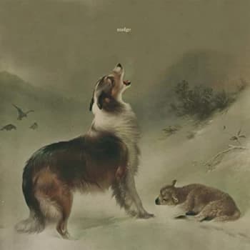 Image of Nudge - As Good As Gone CD