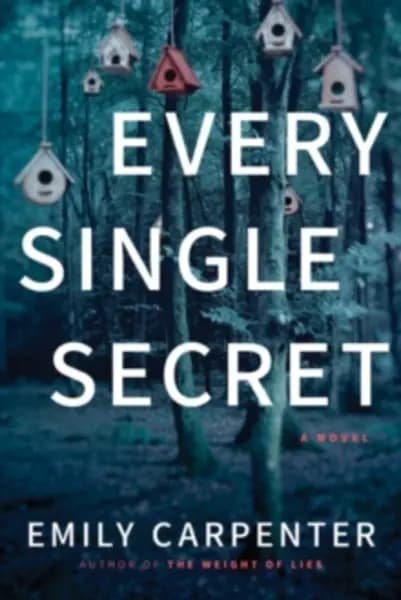 Image of every single secret a novel 9781503951907
