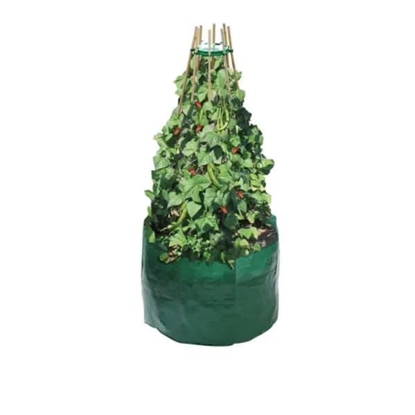 Image of Garland Bean & Pea Bag with Free Bean & Pea Ring