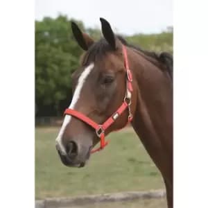 Image of Roma Breakaway Headcollar - Brown