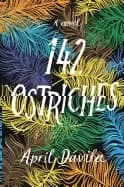 Image of 142 ostriches