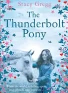 Image of thunderbolt pony