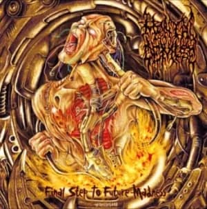 Image of Final Step to Future Madness by Mental Demise CD Album