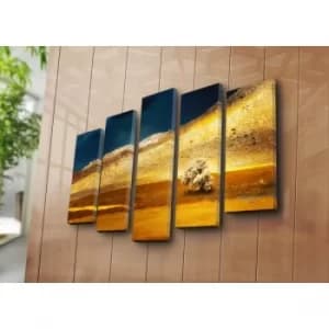 Image of 5NATPAT-6 Multicolor Decorative Canvas Painting (5 Pieces)