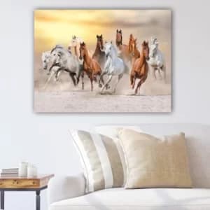 Image of 469187405_70100 Multicolor Decorative Canvas Painting