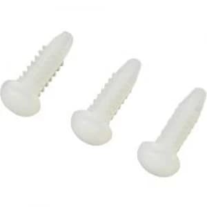 Image of KSS 538766 x L 6.3mm x 14.9mm Ecru